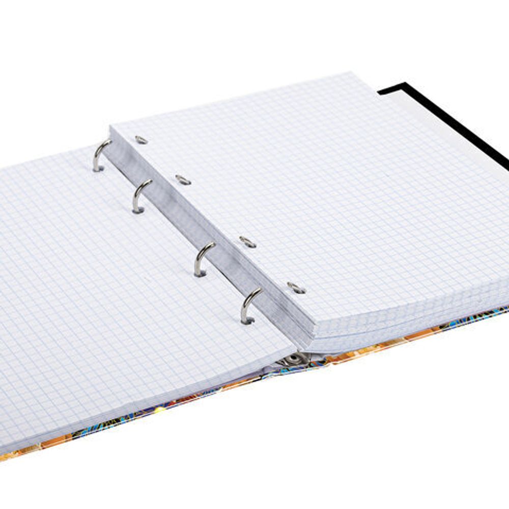 Тетрадь на кольцах А5 (175х215 мм), 240 л., обложка твердый картон, клетка, BRAUBERG, "Идиллия", 404095