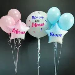 Шары на гендер-пати №9