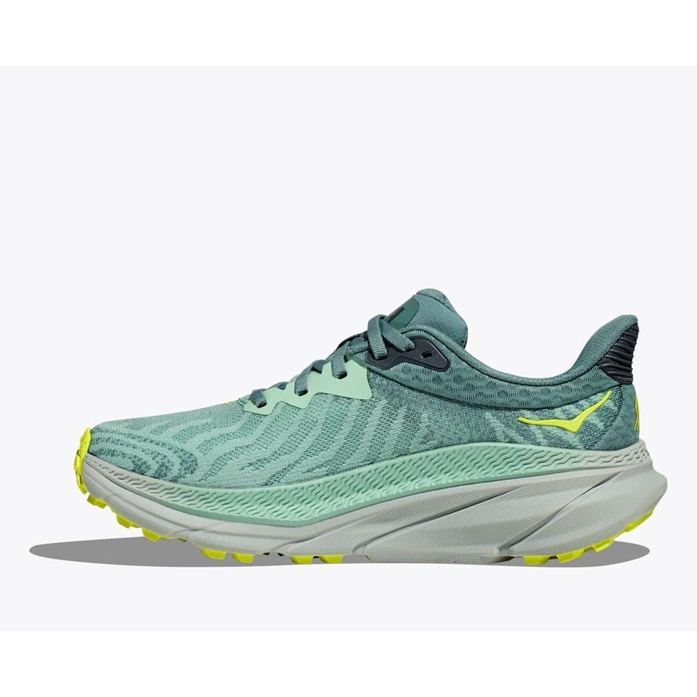 Кроссовки женские HOKA W CHALLENGER ATR 7  Mist Green / Trellis