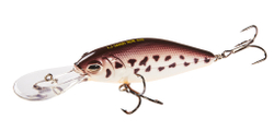Lucky John Shad XDR 004