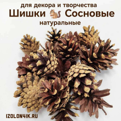 Шишки сосновые для поделок и декора 10 шт. (НАТУРАЛЬНЫЕ)