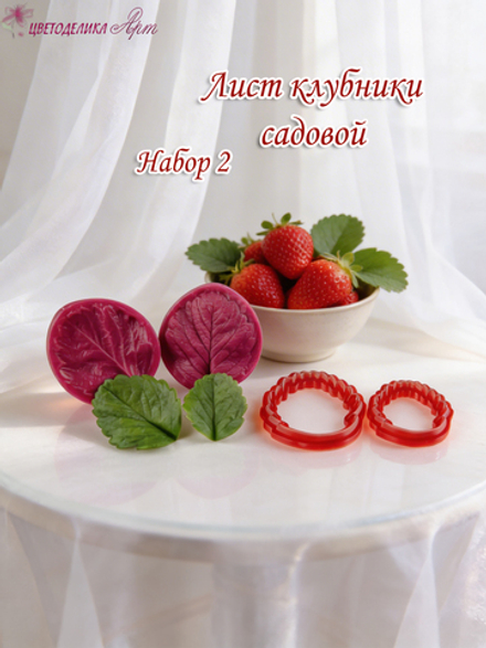 Лист клубники/земляники садовой. Набор №2 (малый)