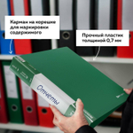 Папка 40 вкладышей BRAUBERG стандарт зеленая 0 7 мм (5 штук в упаковке)