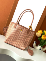 Goyard Anjou Mini Bag