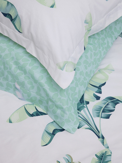 Постельное белье СайлиД B-242 сатин