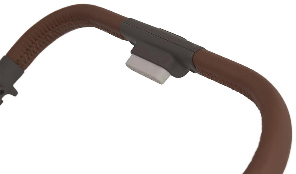 Детская коляска Anex Flo 2 в 1 Cesar