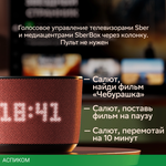 Умная колонка Sber Boom Home серый (SBDV-00171G)