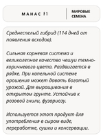 Семена лук Манас F1 репчатый, 0,5 гр. семян (Vita Green / Вита Грин)