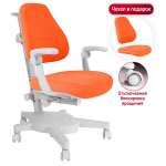 Эргономичное кресло Anatomica Armata с подлокотниками