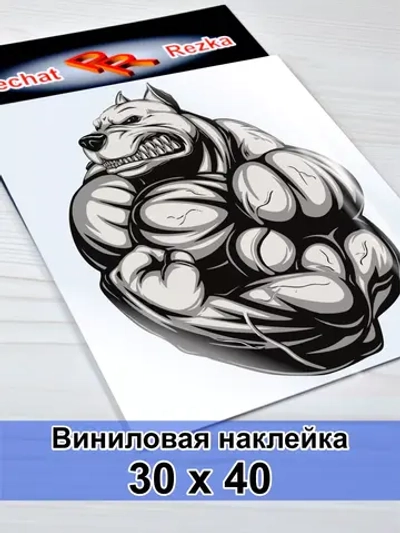 Наклейка - Питбуль бодибилдер