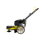 Бензогазонокосилка CHAMPION LMH5629