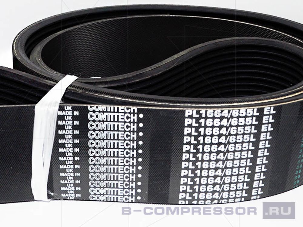 Ремень поликлиновый 12 PL1664 фото