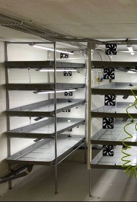 Гидропонная установка HydroBoss Витграсс