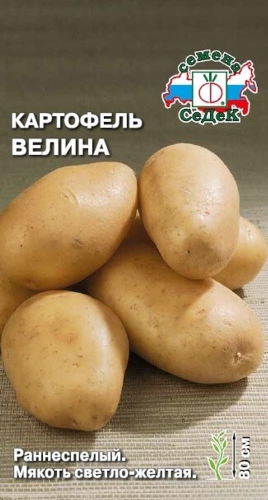 Картофель Велина раннеспелый 0,02г СЕДЕК