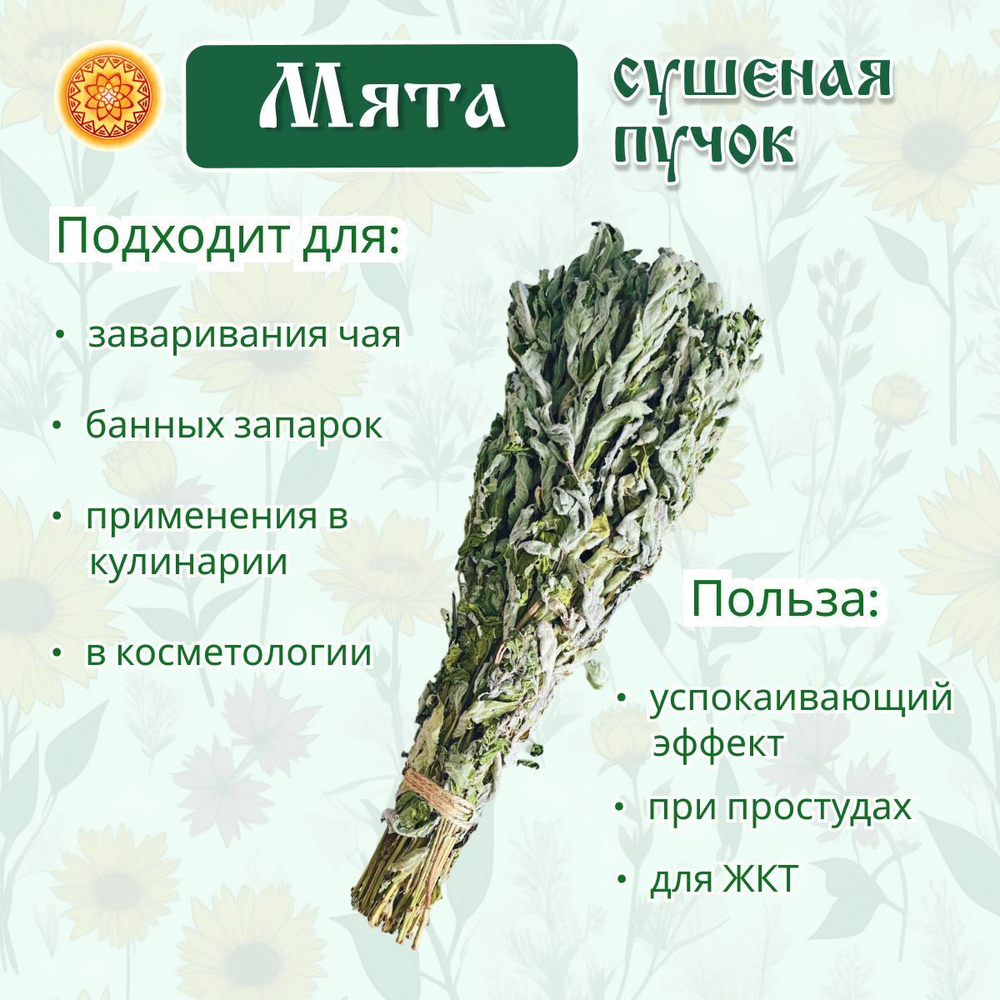 Мята дикая пучок.