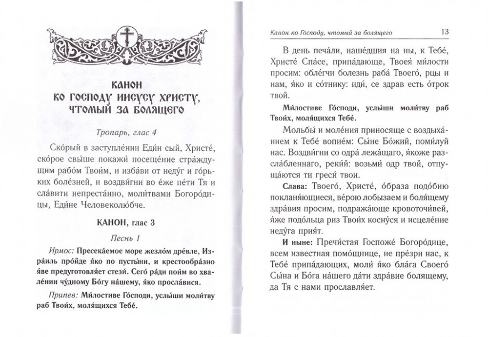 Каноны о болящих "Исцели нас, Боже"