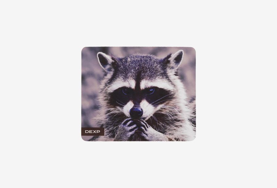 DEXP OM-XS Racoon_0126527101631