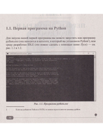 Python на примерах. Практика, практика и только практика