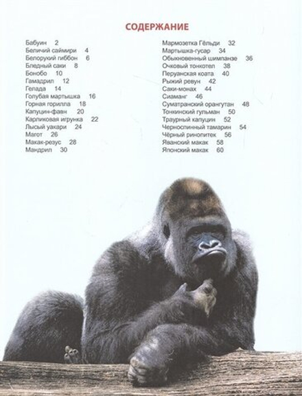 ЭНЦИКЛОПЕДИЯ ДЛЯ ДЕТЕЙ новые. ОБЕЗЬЯНЫ