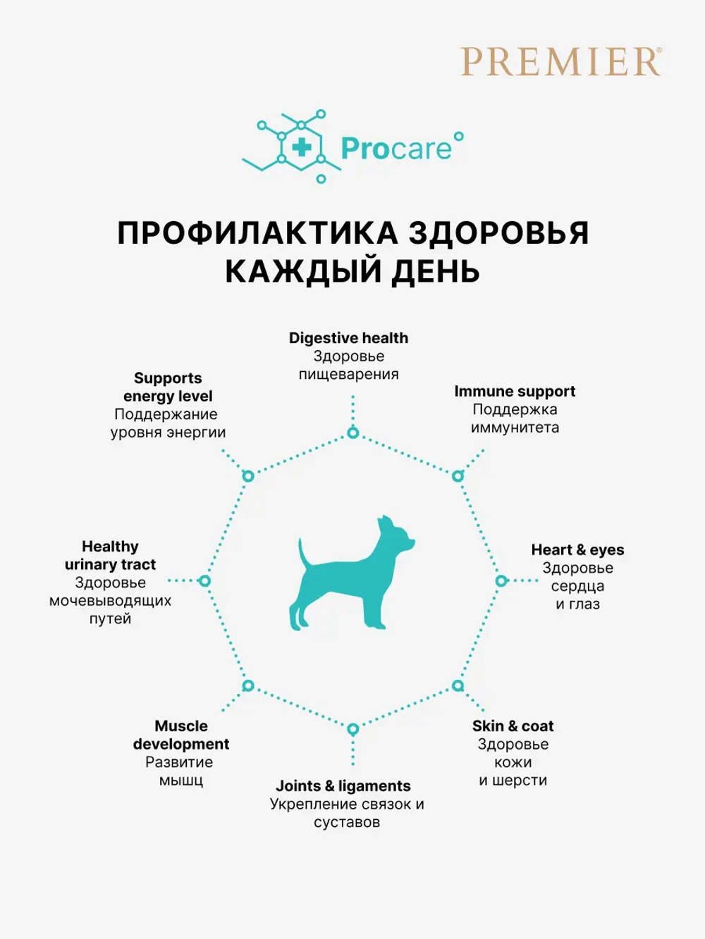 Сухой корм для взрослых собак Premier Dog Adult Mini мини пород с чувствительным пищеварением с индейкой 1кг