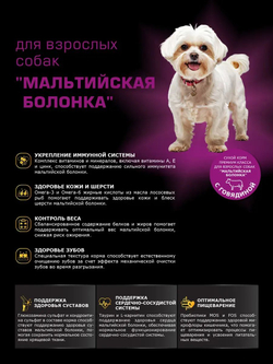 Корм сухой для взрослых собак породы Мальтийская болонка, с говядиной, 2,5 кг, QUATTRO