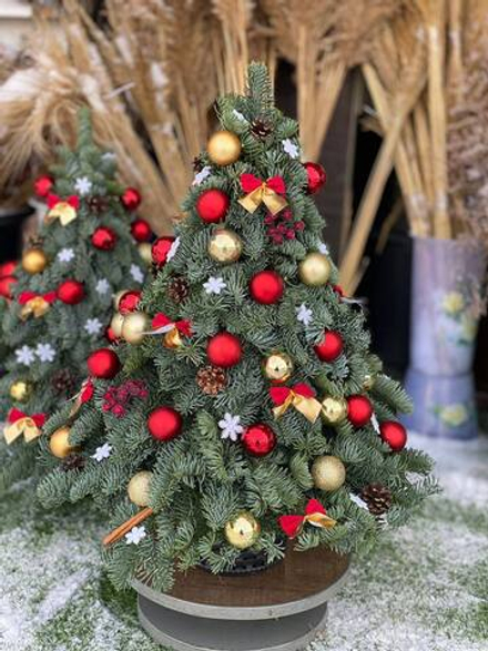 Лесная красавица