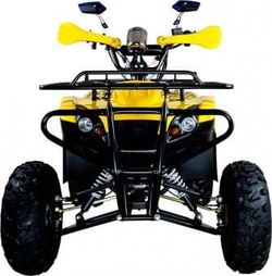 Квадроцикл AVANTIS Patriot M