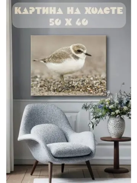 Картина на стену 40 X 50 Птичка