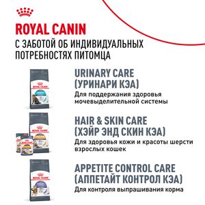 Пауч Royal Canin Maine Coon Adult для взрослых кошек породы Мэйн Кун, мелкие кусочки в соусе