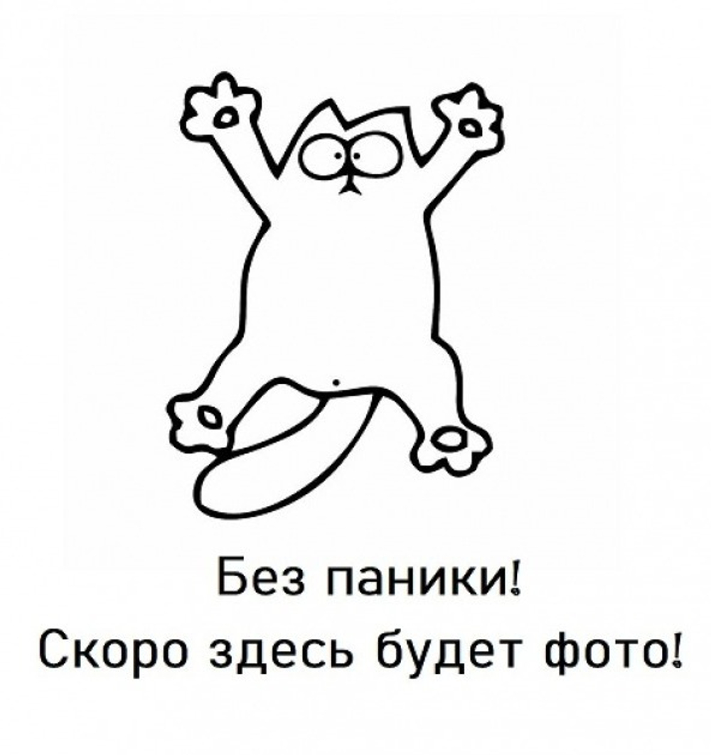 Дверь-купе ARISTO AVERS, зеркало, профиль золото матовое