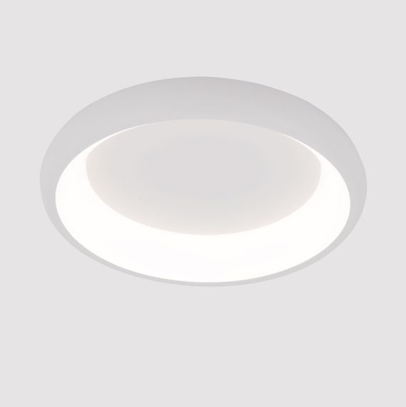 Потолочный светодиодный светильник Arte Lamp Menkib A2694PL-45WH