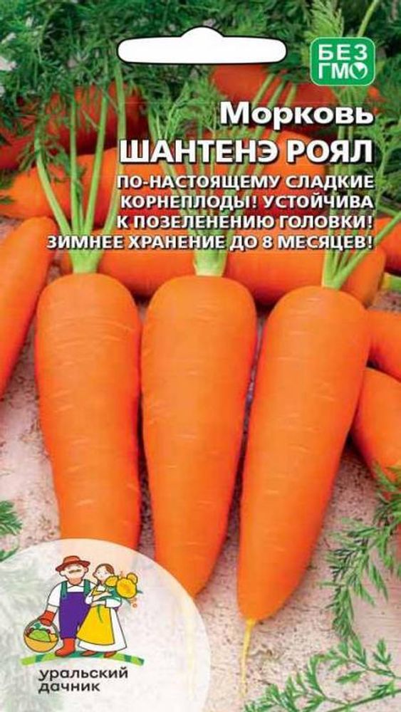 Морковь &quot;Шантенэ Роял&quot; 2г., Россия.