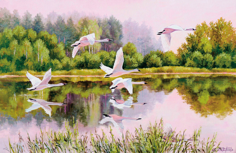 Коллекция Пейзаж