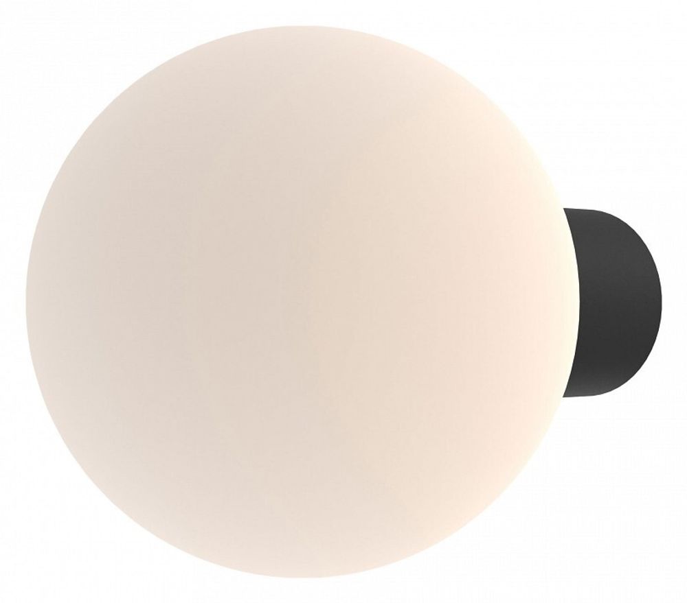 Светильник на штанге Maytoni Bold O598WL-01B1