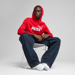 Толстовка мужская PUMA ESS No. 1 Logo Hoodie TR