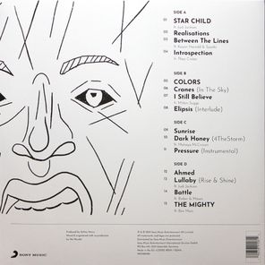 Ashley Henry / Beautiful Vinyl Hunter (2LP)