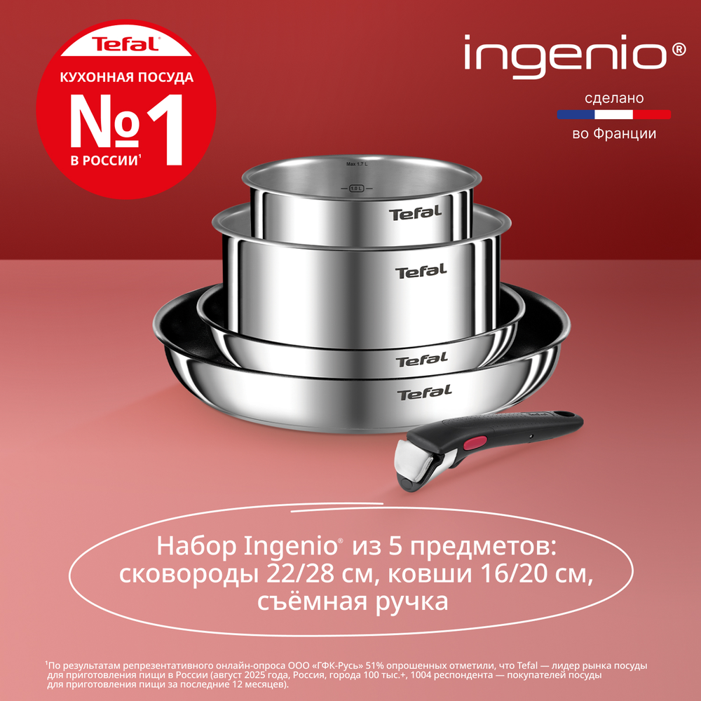 Набор посуды Tefal Ingenio Emotion из 5 предметов 16/20/22/28 см L897S574