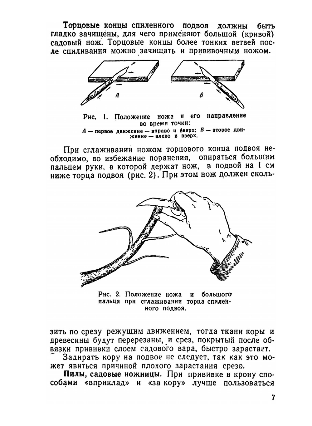 Прививка плодовых деревьев | М.Г. Клеменц
