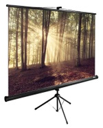 Экран  Cactus CS-PSTE-180X135-BK