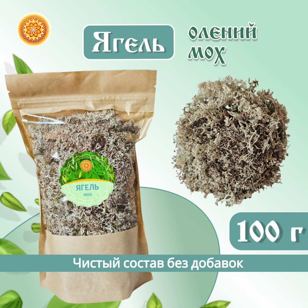 Исландский мох цетрария, 100 г.