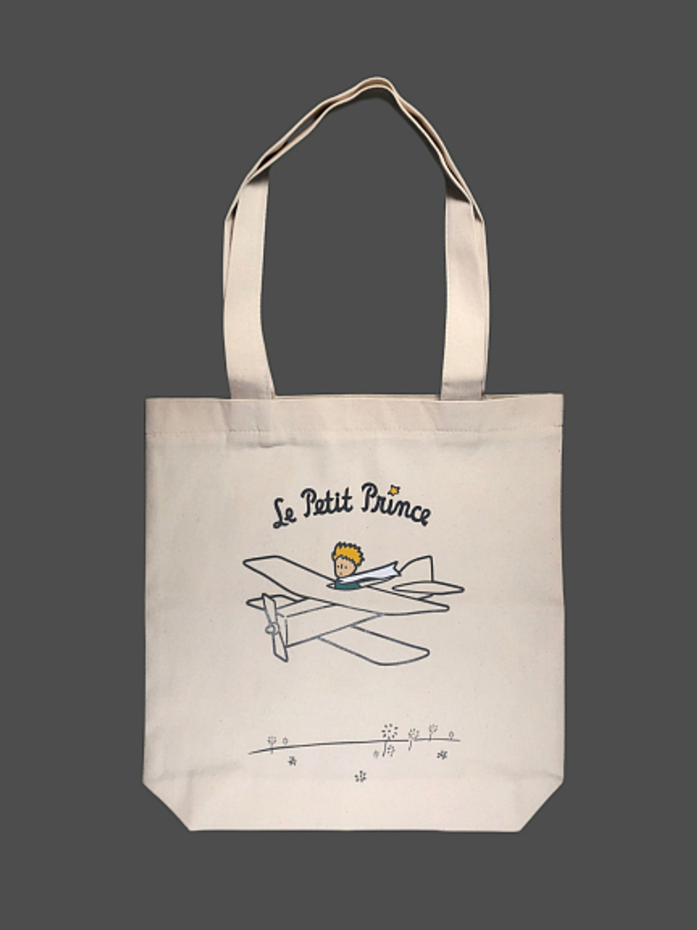 Маленький принц. Самолет