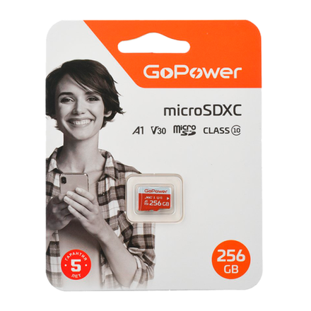 Карта памяти microSD GoPower 256GB Class10 UHS-I б/а