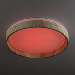 Citilux ENZO CL753352G LED RGB Светильник с пультом Клён