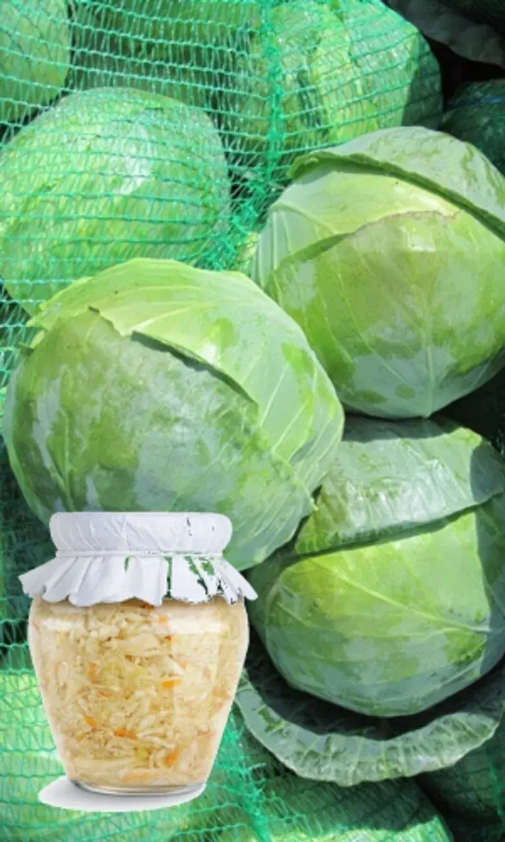 Семена Капуста белокочанная Засолочная (УД) Е/П