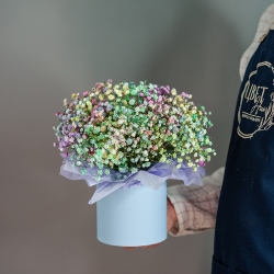 Цветная гипсофила в шляпной коробке размер S