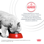 Royal Canin Diabetic Диабетик Корм влажный диета для взрослых кошек при диабете соус 85г