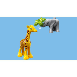 LEGO DUPLO - Дикие животные Африки 10971