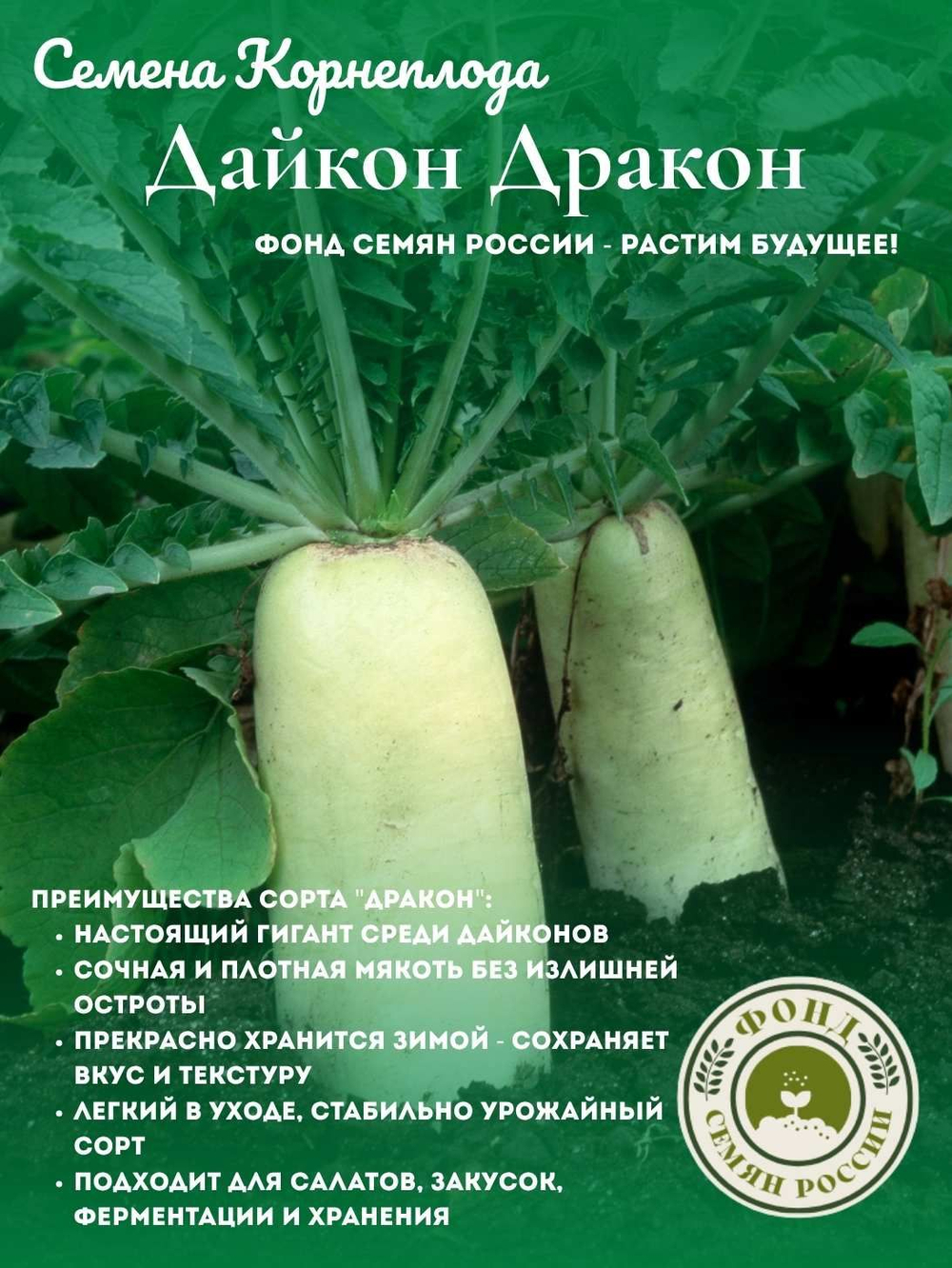 Дайкон Дракон, Семена корнеплода, 1 грамм