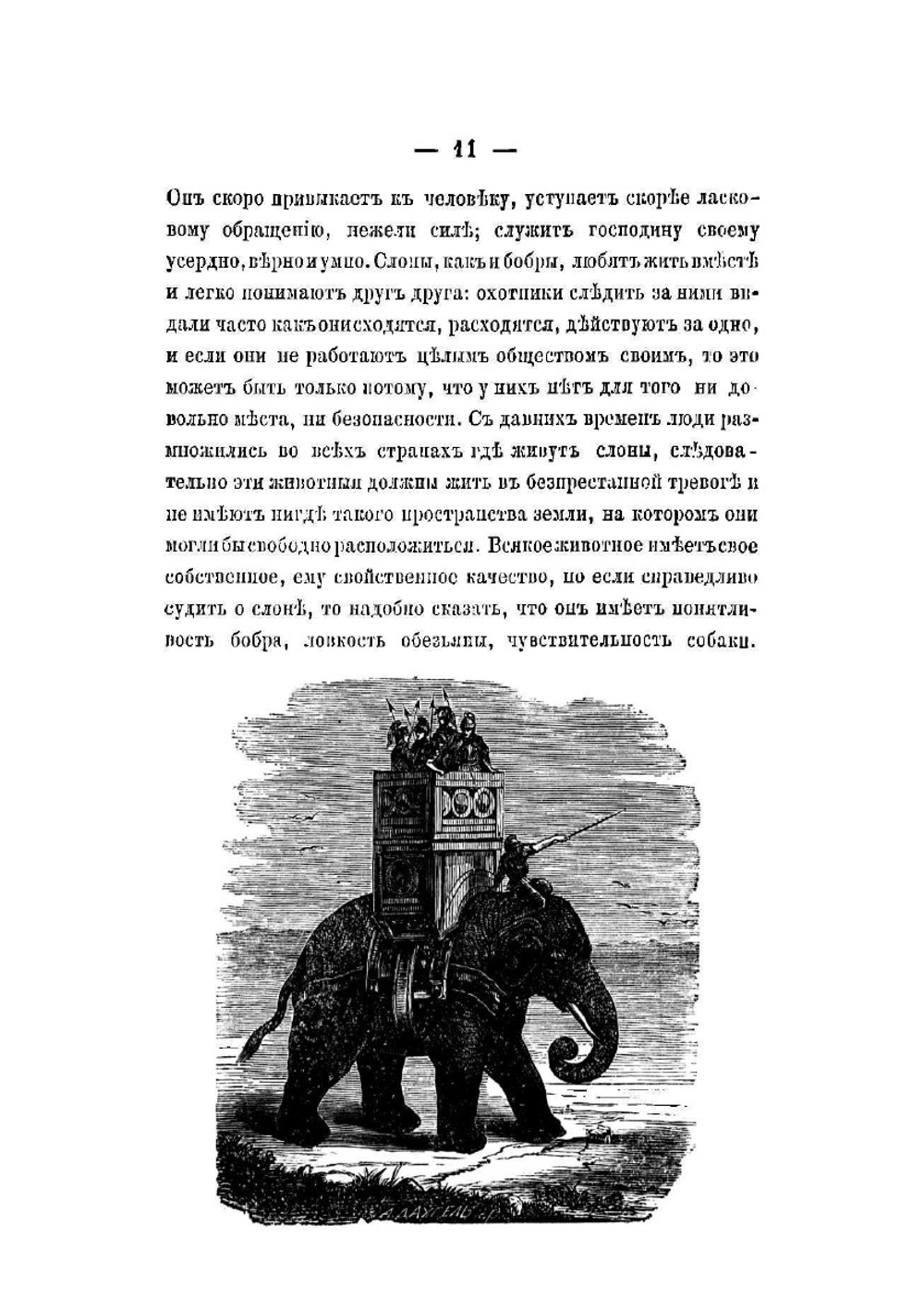 Рассказы для детей из естественной истории | Ишимова Александра Иосифовна