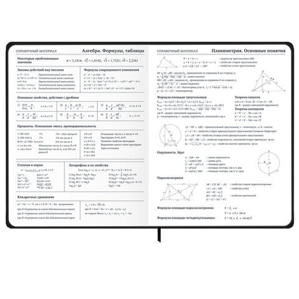 Дневник 1-11 класс 48 л., твердый, BRAUBERG, матовая ламинация, резинка, закладка-ляссе, с подсказом, "Дракон", 107240